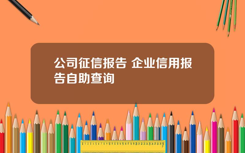 公司征信报告 企业信用报告自助查询